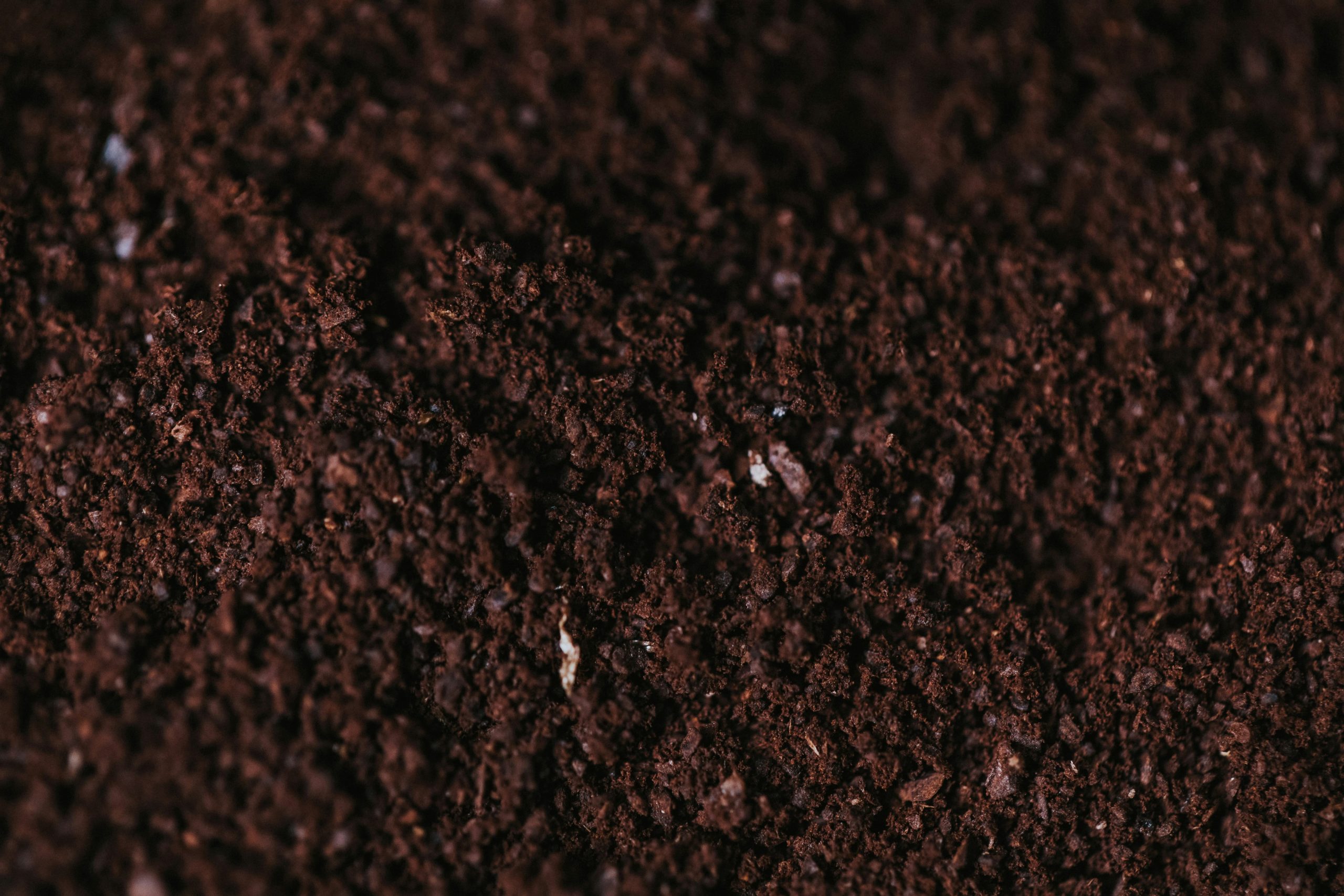 hazardous soil disposal